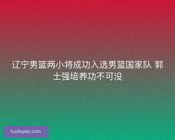 辽宁男篮两小将成功入选男篮国家队 郭士强培养功不可没