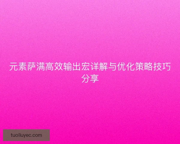 元素萨满高效输出宏详解与优化策略技巧分享