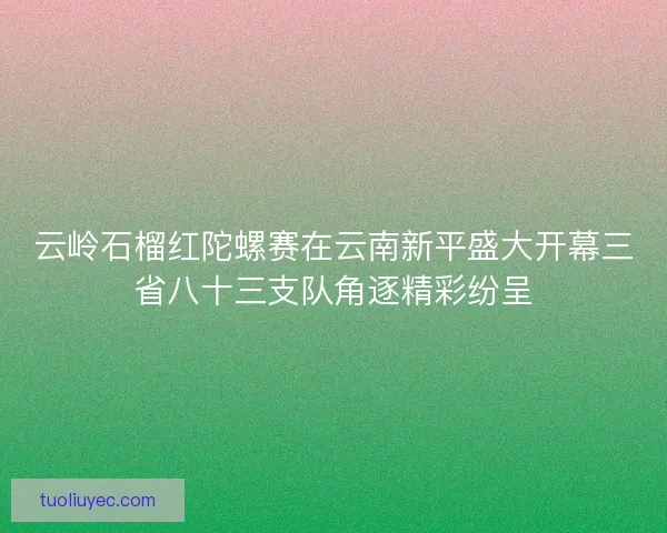 云岭石榴红陀螺赛在云南新平盛大开幕三省八十三支队角逐精彩纷呈