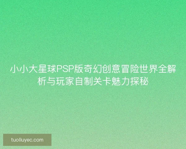 小小大星球PSP版奇幻创意冒险世界全解析与玩家自制关卡魅力探秘