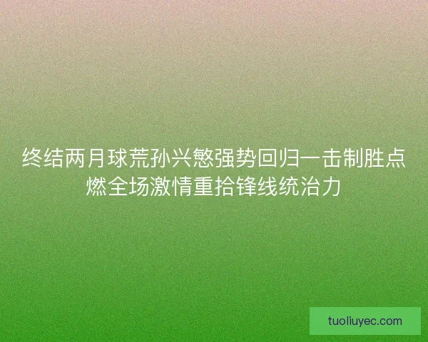 终结两月球荒孙兴慜强势回归一击制胜点燃全场激情重拾锋线统治力