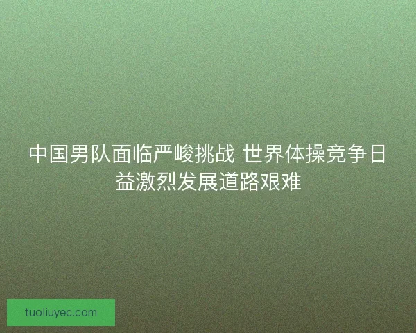 中国男队面临严峻挑战 世界体操竞争日益激烈发展道路艰难